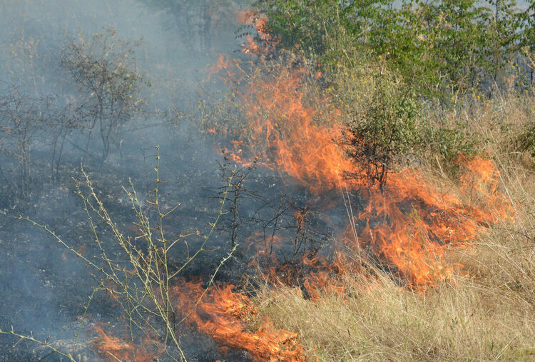 Част от огнения фронт в Ивайловградско е под контрол