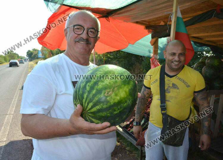 От шарени и бели патладжани до големи дини и пъпеши на крайпътния пазар между Хасково и Конуш