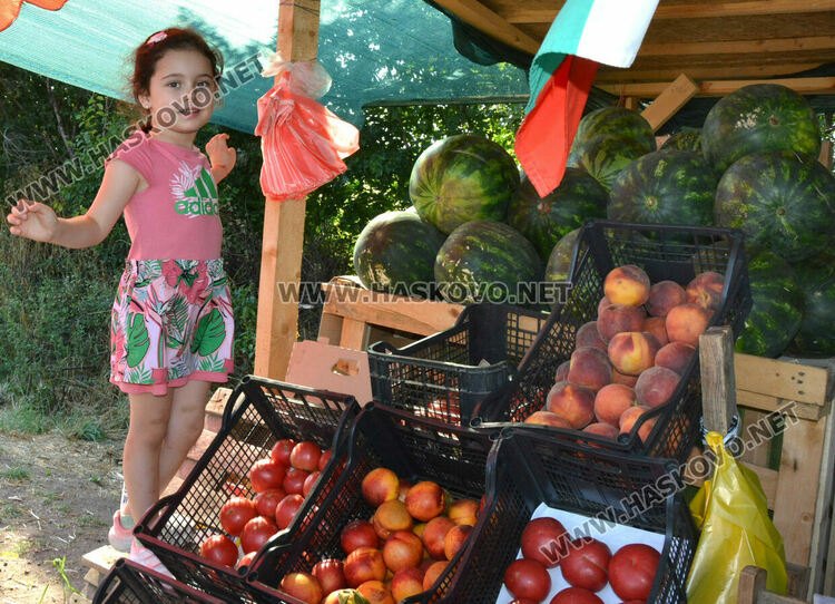 От шарени и бели патладжани до големи дини и пъпеши на крайпътния пазар между Хасково и Конуш