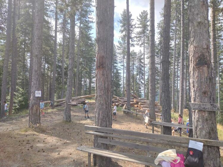 Забавно лято за децата организира читалището в Момчиловци