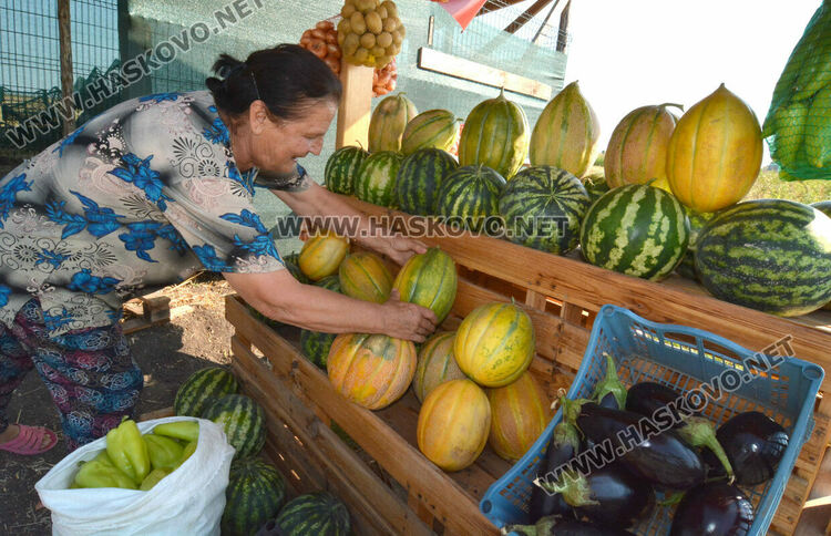 От шарени и бели патладжани до големи дини и пъпеши на крайпътния пазар между Хасково и Конуш
