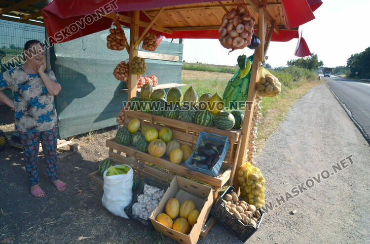 От шарени и бели патладжани до големи дини и пъпеши на крайпътния пазар между Хасково и Конуш