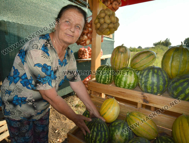 От шарени и бели патладжани до големи дини и пъпеши на крайпътния пазар между Хасково и Конуш