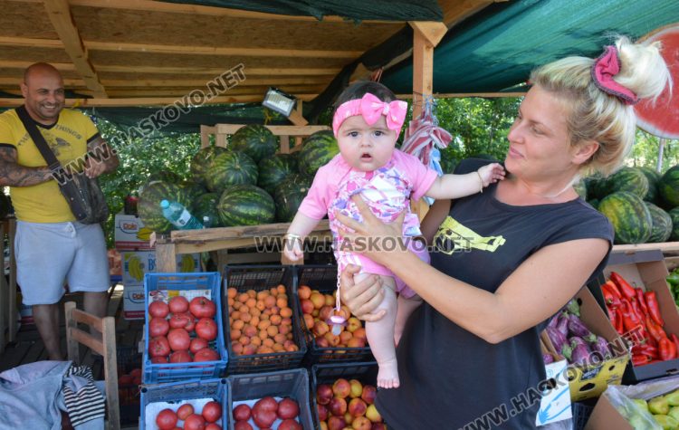 От шарени и бели патладжани до големи дини и пъпеши на крайпътния пазар между Хасково и Конуш