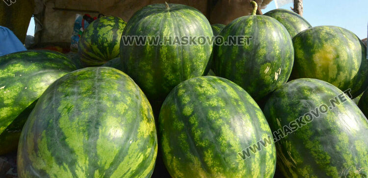 От шарени и бели патладжани до големи дини и пъпеши на крайпътния пазар между Хасково и Конуш