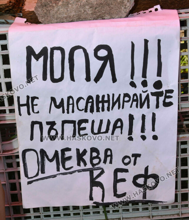 От шарени и бели патладжани до големи дини и пъпеши на крайпътния пазар между Хасково и Конуш