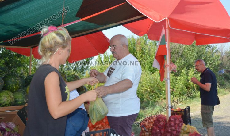 От шарени и бели патладжани до големи дини и пъпеши на крайпътния пазар между Хасково и Конуш