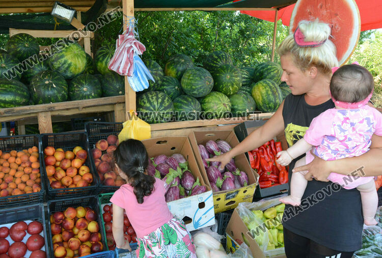 От шарени и бели патладжани до големи дини и пъпеши на крайпътния пазар между Хасково и Конуш