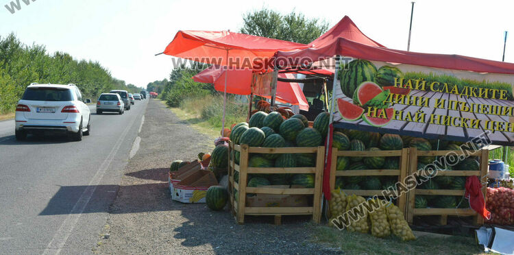 От шарени и бели патладжани до големи дини и пъпеши на крайпътния пазар между Хасково и Конуш