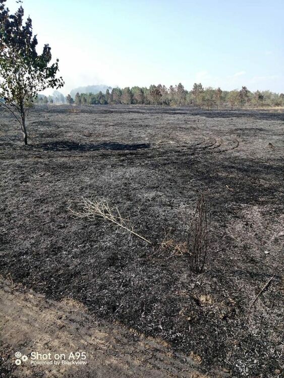 8 часа гасиха пожар в землището на село Градина