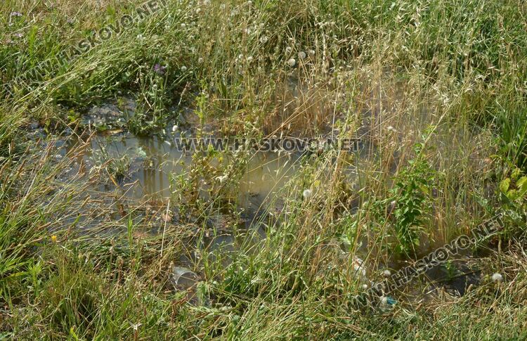 Смърдяща вода се излива по булевард „Васил Левски“ в Хасково