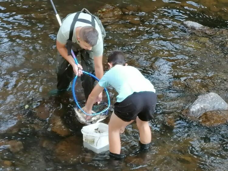 Фирма за бутилиране на минерална вода изтрови рибата в река Девинска