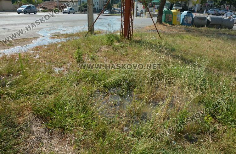 Смърдяща вода се излива по булевард „Васил Левски“ в Хасково