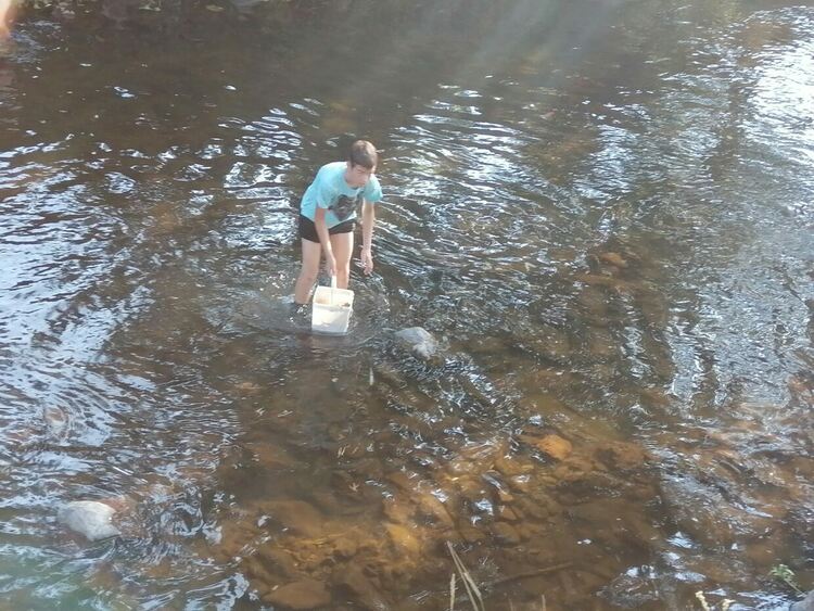 Фирма за бутилиране на минерална вода изтрови рибата в река Девинска