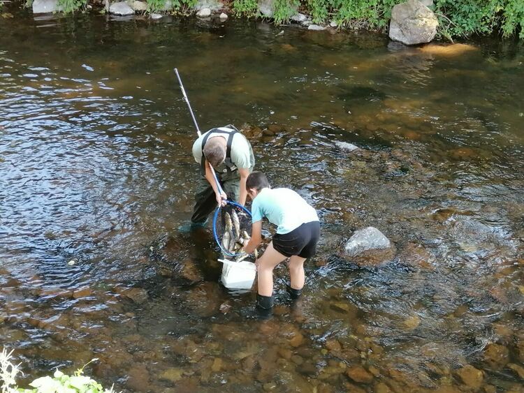 Фирма за бутилиране на минерална вода изтрови рибата в река Девинска