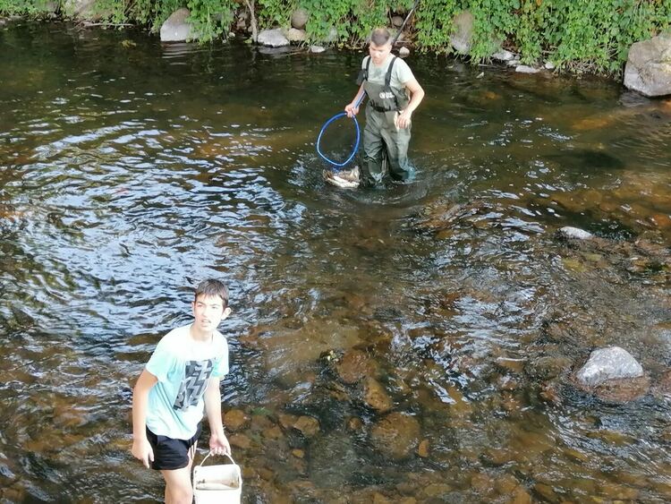 Фирма за бутилиране на минерална вода изтрови рибата в река Девинска