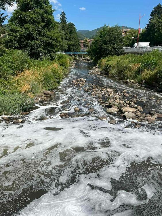 Фирма за бутилиране на минерална вода изтрови рибата в река Девинска