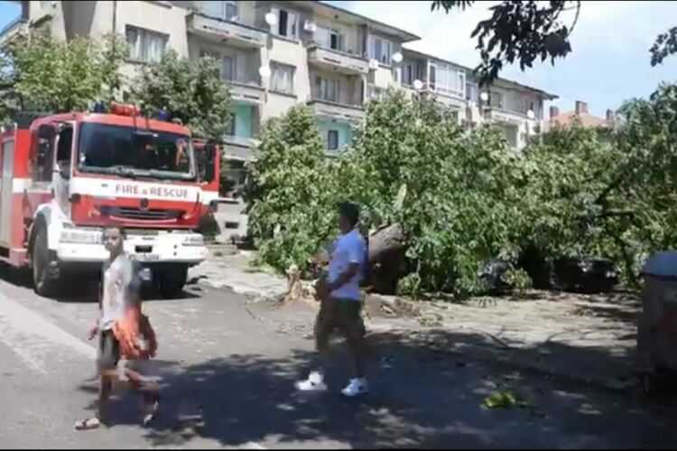 Кадър: "Сакар нюз" 