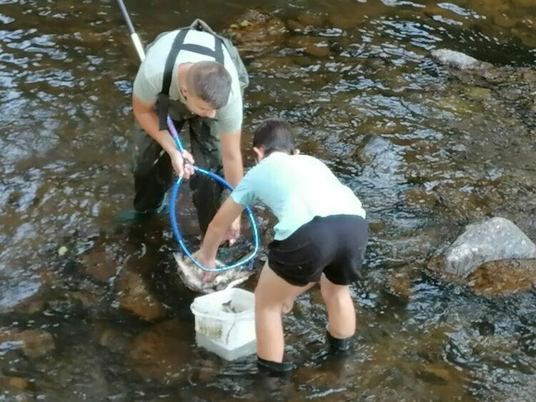 От "Девин" ЕАД изразиха съжаление за измрялата риба и ще помогнат за ново зарибяване на река Девинска