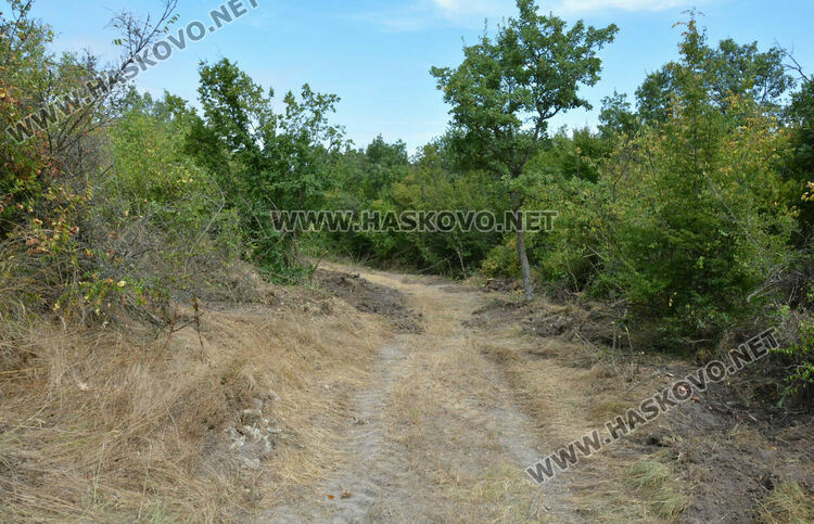 Започна разчистването на терена около гробницата край с.Текето