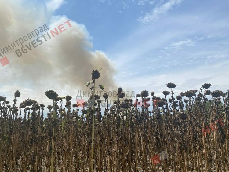 Пожар край Димитровград