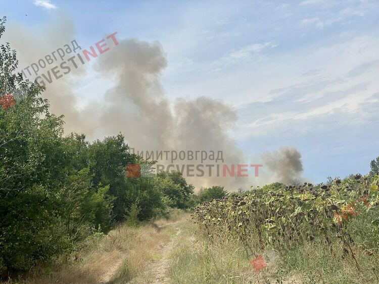 Пожар край Димитровград