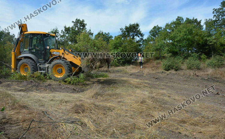 Започна разчистването на терена около гробницата край с.Текето
