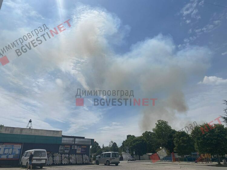 Пожар край Димитровград
