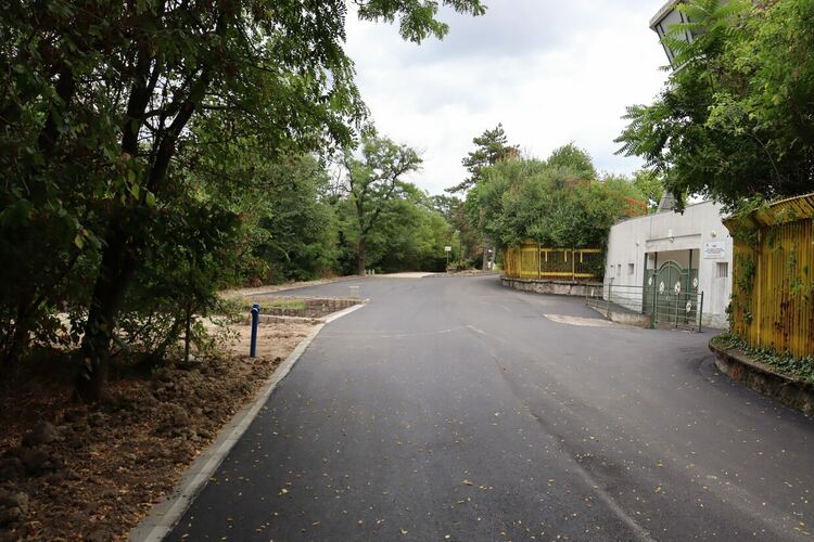 Ремонтираха алеята около ст. "Хасково"