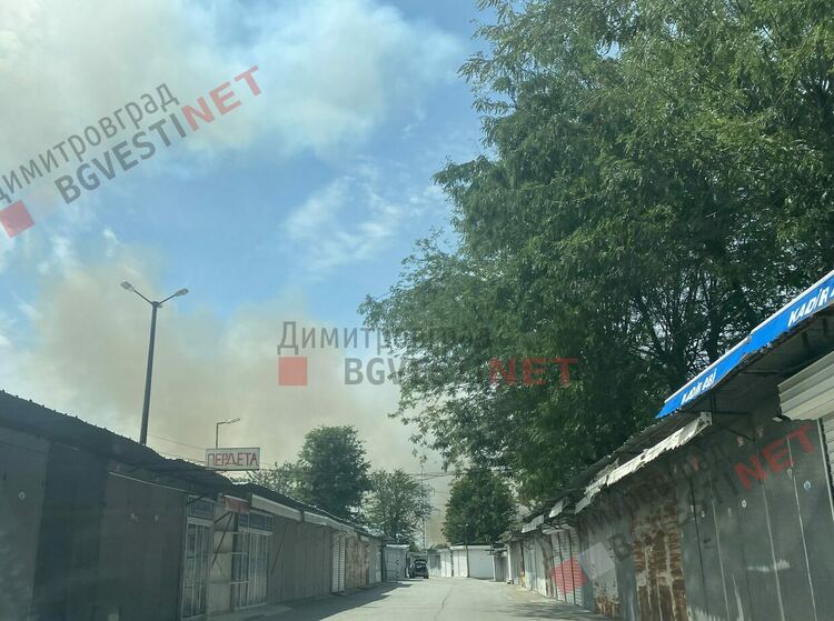 Пожар край Димитровград