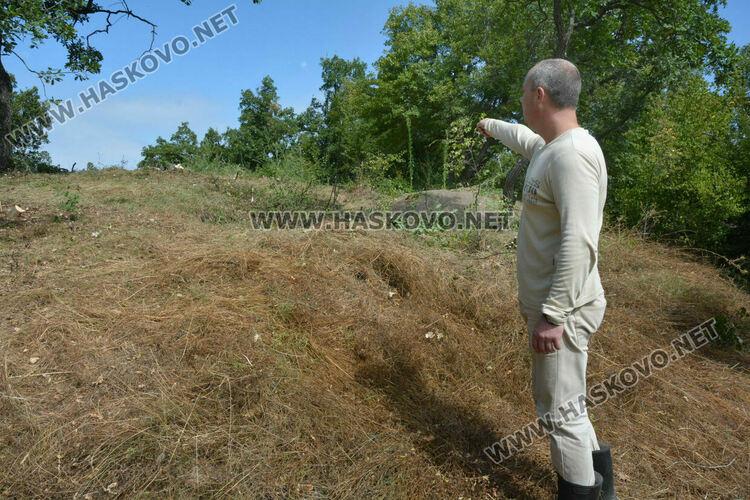 Започна разчистването на терена около гробницата край с.Текето