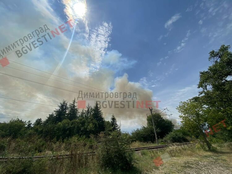 Пожар край Димитровград