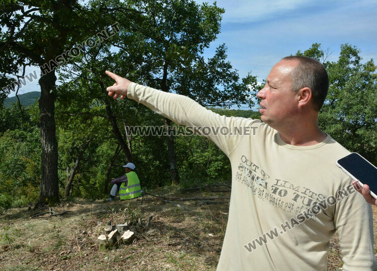 Започна разчистването на терена около гробницата край с.Текето