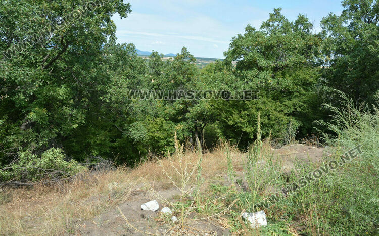 Започна разчистването на терена около гробницата край с.Текето