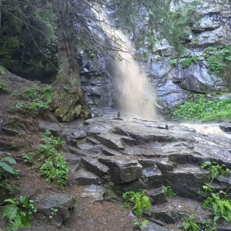 сн: Златка Чанкова