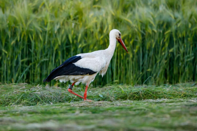 Слънце и облаци и днес , но топло и приятно време