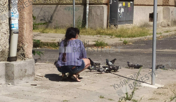 И гълъбите в Кърджали свикнаха с протегнатата човешка ръка