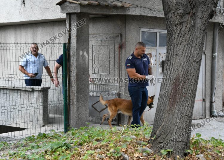 Полицейска акция със следово куче и арест в Хасково