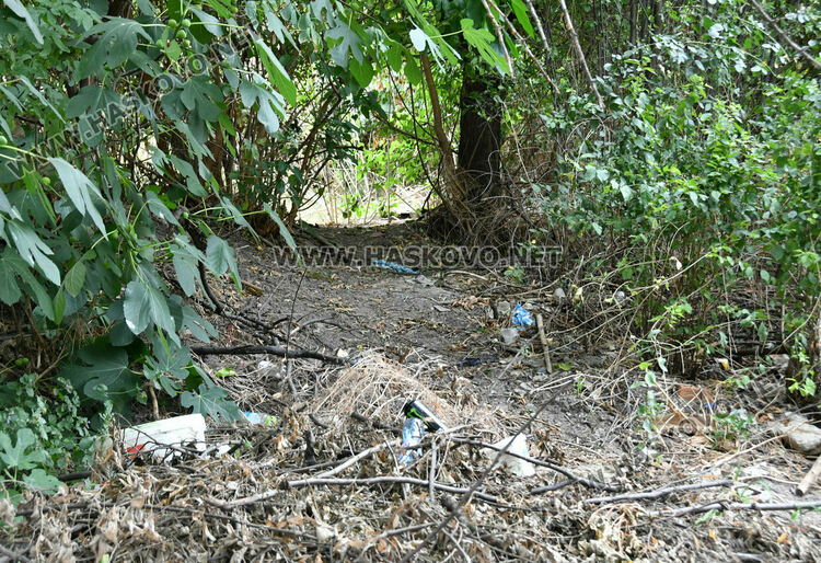 Полицейска акция със следово куче и арест в Хасково