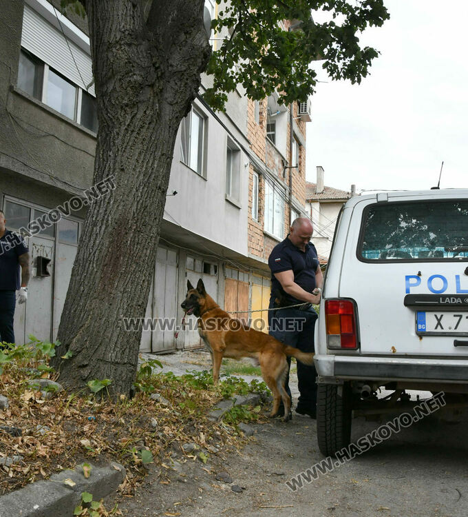 Полицейска акция със следово куче и арест в Хасково