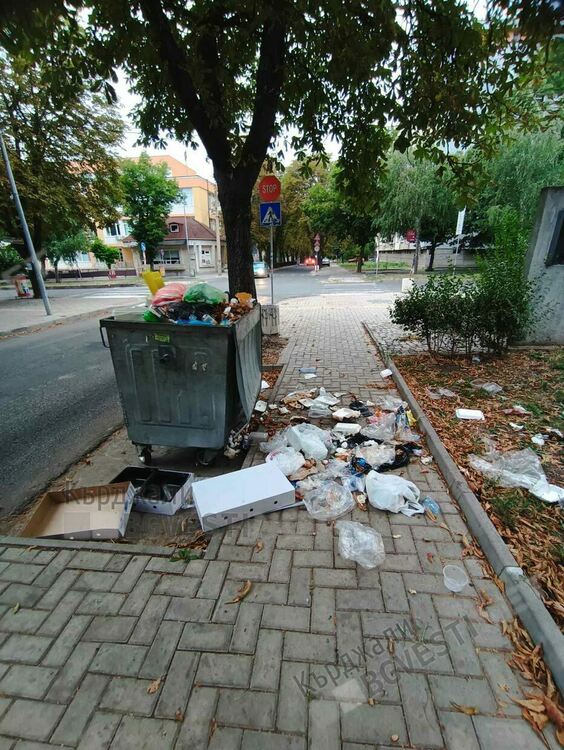   Паметникът на отец Благой Топузлиев в Кърджали тъне в боклуци, общината нехае