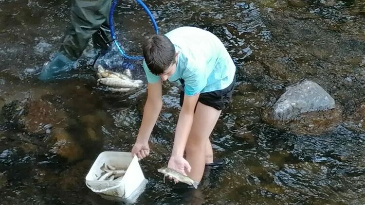 РИОСВ-Смолян изнесе  анализ на водните проби на река Девинска