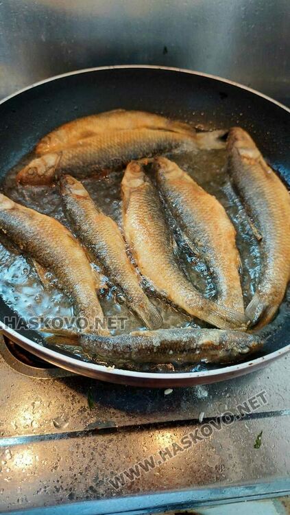 Александър Милушев представи книга с рецепти в рими