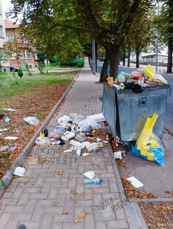   Паметникът на отец Благой Топузлиев в Кърджали тъне в боклуци, общината нехае