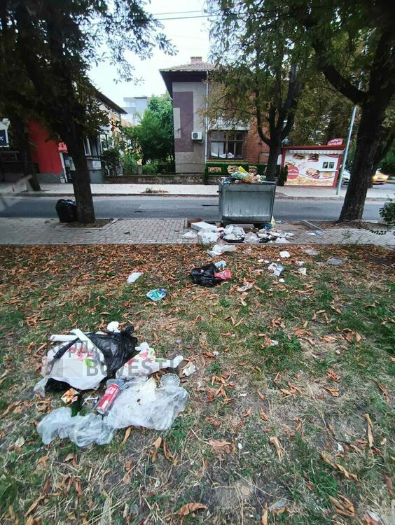   Паметникът на отец Благой Топузлиев в Кърджали тъне в боклуци, общината нехае