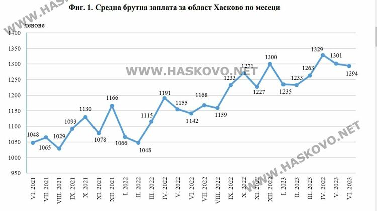 Средната месечна заплата в Хасково е 1.6 хил. лв. в частния сектор и 1.1 хил. лв. -в обществения