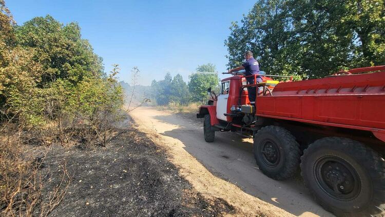11 екипа огнеборци на големия пожар край Шишманово