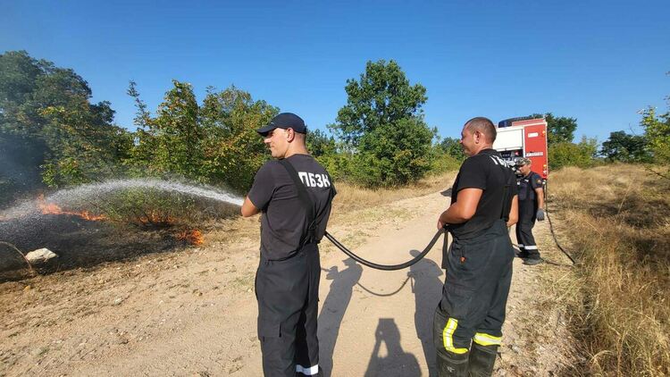 11 екипа огнеборци на големия пожар край Шишманово