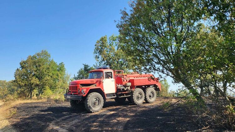 11 екипа огнеборци на големия пожар край Шишманово