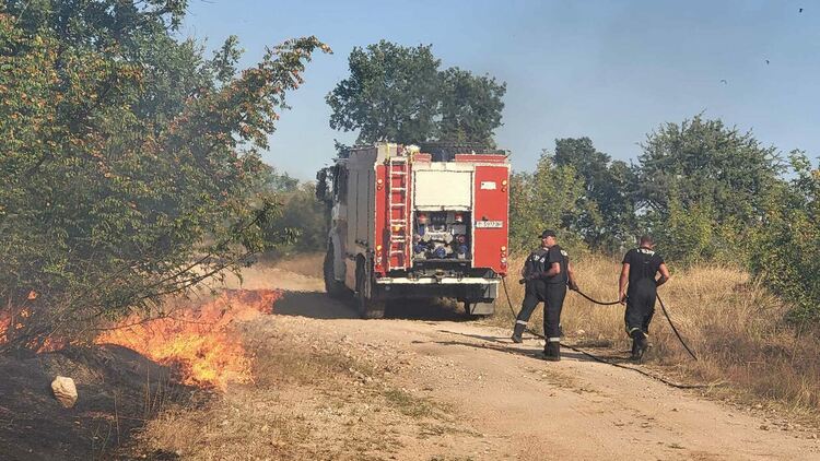 11 екипа огнеборци на големия пожар край Шишманово